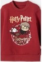 Conjunto De Harry Potter Rojo Bosque Para Bebé Niño 18-24 de WARNER BROS