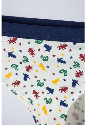 Pack X2 Panties De Harry Potter Para Mujer XS