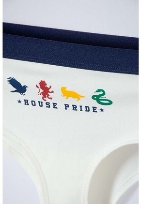 Pack X2 Panties De Harry Potter Para Mujer XS