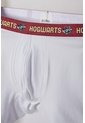 Pack X2 Boxer De Harry Potter Multicolor Para Niño 6 de WARNER BROS