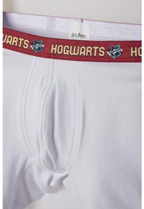 Pack X2 Boxer De Harry Potter Multicolor Para Niño 6