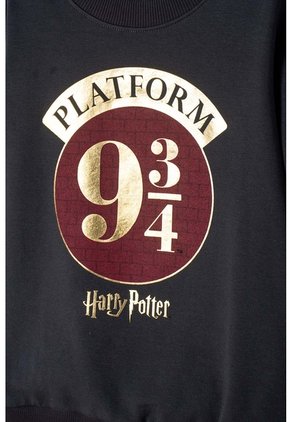 Conjunto De Harry Potter Pantalón Largo Gris Para Niño 10