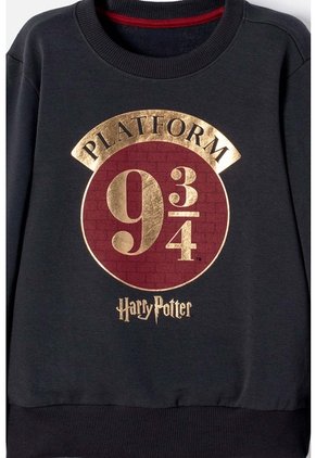 Conjunto De Harry Potter Pantalón Largo Gris Para Niño 10