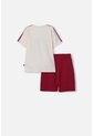Conjunto De Harry Potter Con Bermuda Multicolor Para Niño 6 de WARNER BROS