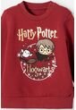 Conjunto De Harry Potter Rojo Bosque Para Bebé Niño 9-12 de WARNER BROS