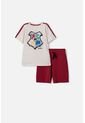 Conjunto De Harry Potter Con Bermuda Multicolor Para Niño 6 de WARNER BROS