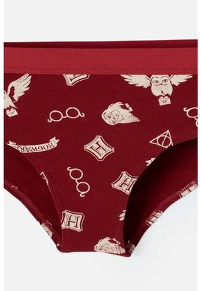 Pack X2 Panties De Harry Potter Vinotinto Y Caqui Para Mujer M