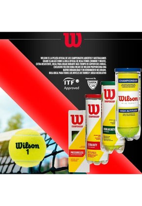 Pelotas Tennis X 3 Wilson
