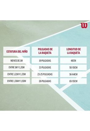 Raqueta Tenis Recreacional Niño Niña Wilson Roger Federer 23