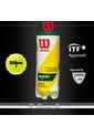 Pelotas Tennis X 3 Amarilla Wilson Regular Duty de Wilson