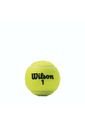 Pelotas Tennis X 3 Amarilla Wilson Regular Duty de Wilson