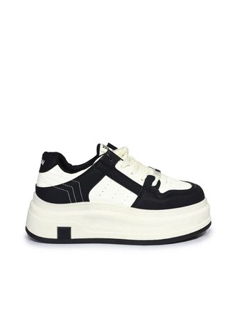 Tenis Para Mujer 2585-Z786 ZAVATTY Zavatty