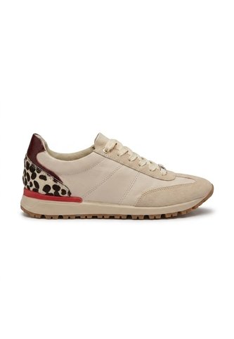 Tenis Para Mujer A220-Z495 ZAVATTY Zavatty