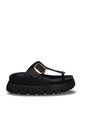 Sandalia Canoa Para Mujer 2000A-Z620 NEGRO ZAVATTY de Zavatty