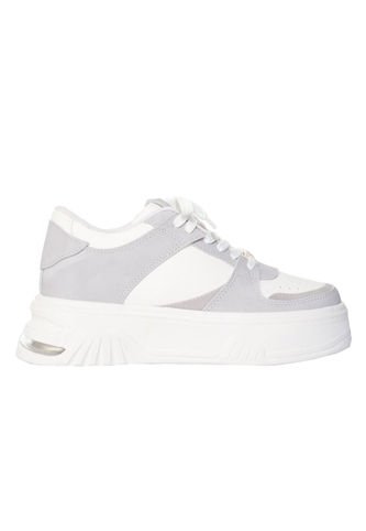 Tenis Para Mujer TA970 TALCO HIELO ZAVATTY Zavatty