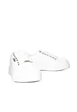 Tenis Para Mujer TA1084 TALCO ZAVATTY de Zavatty