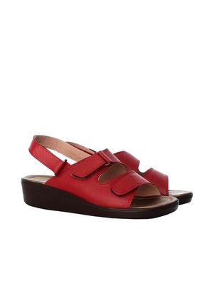 Plataforma Baja Para Mujer H-BELEN NEGRO CUERO ZAVATTY