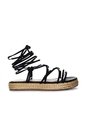 Plataforma Baja Para Mujer M68-Z471 NEGRO ZAVATTY de Zavatty