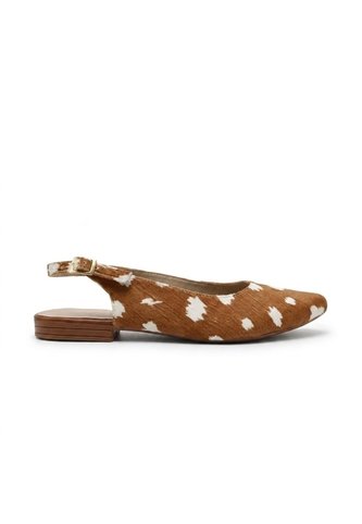 Baleta Para Mujer 1480-Z147 ZAVATTY Zavatty